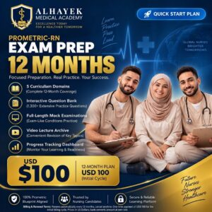 12 Months Plan