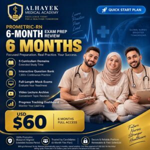 6 Months Plan